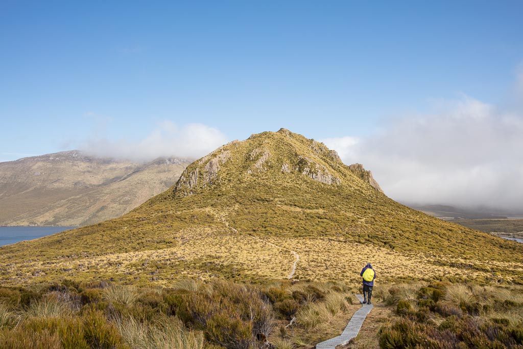Beeman Hill, Campbell Island, New Zealand