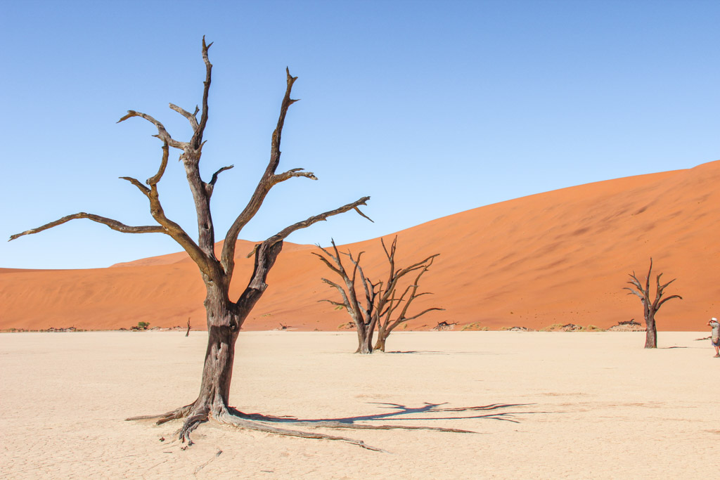 Deadvlei, Sossusvlei, Namib-Naukluft National Park, Namibia-10