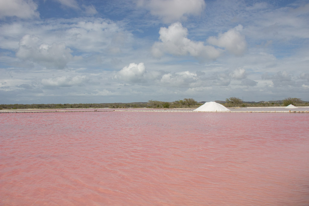 Las Salinas Salt Flat, Cabo Rojo, Puerto Rico