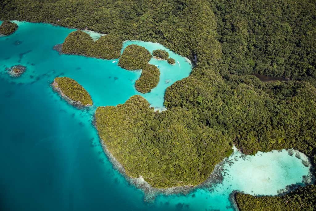 Milky Way, Rock Islands, Palau