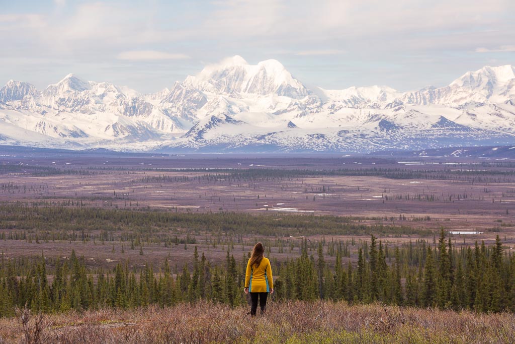 Mount Hayes, Denali Highway, Alaska