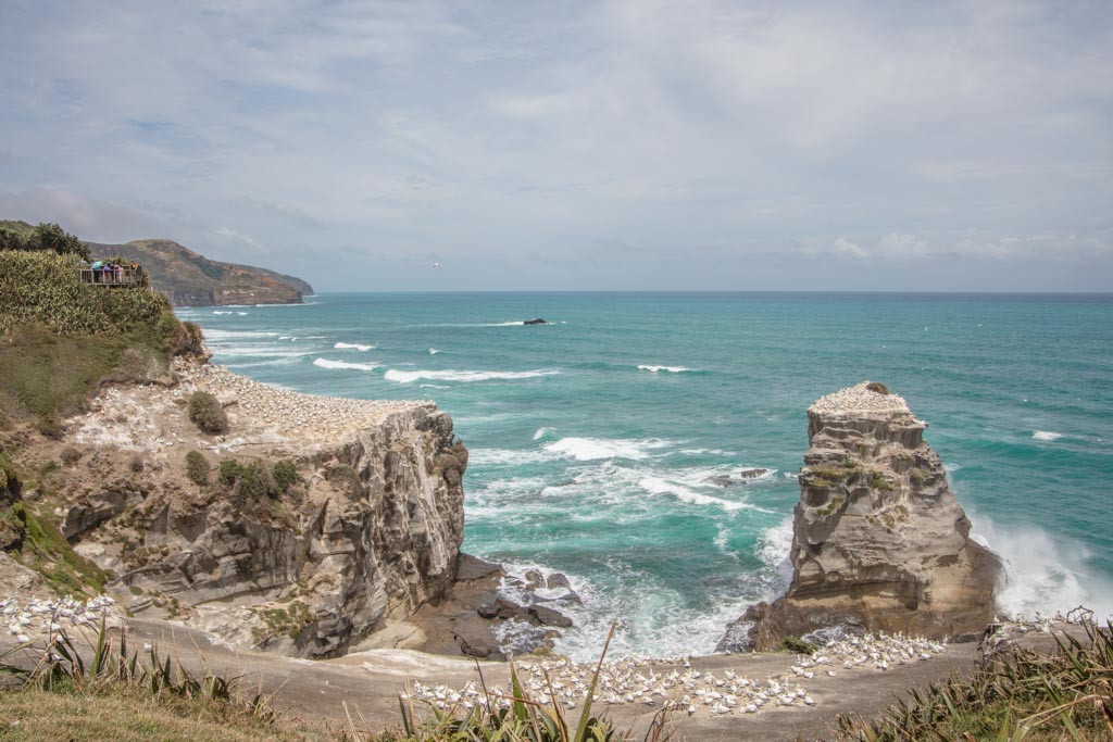Muriwai Beach, New Zealand