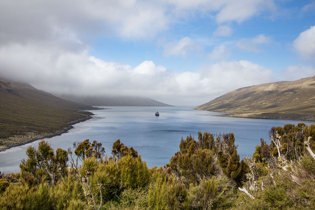 Perseverance Harbour, Campbell Island, New Zealand