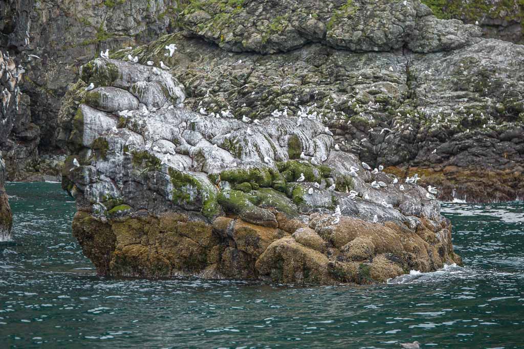 Resurrection Bay, Seward, Alaska