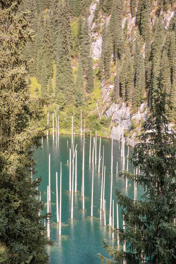 Sunken Forest, Kaindy Lake, Kazakhstan