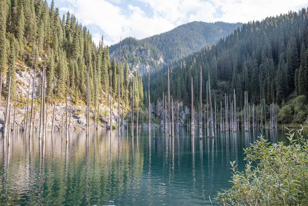 Sunken Forest, Kaindy Lake, Kazakhstan