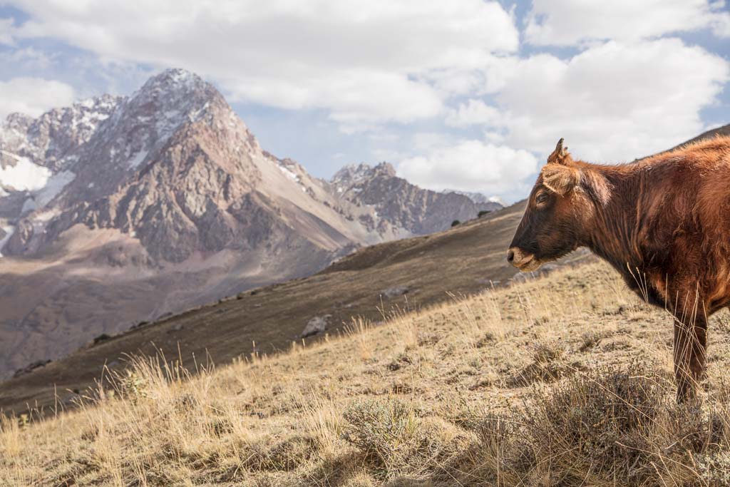 Tavasang Pass, Fann Mountains, Tajikistan
